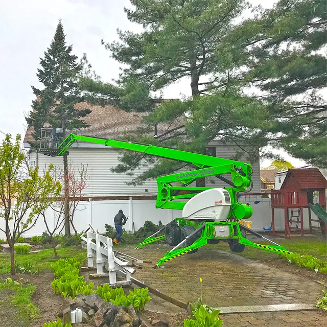 Pro Tree Service work photo