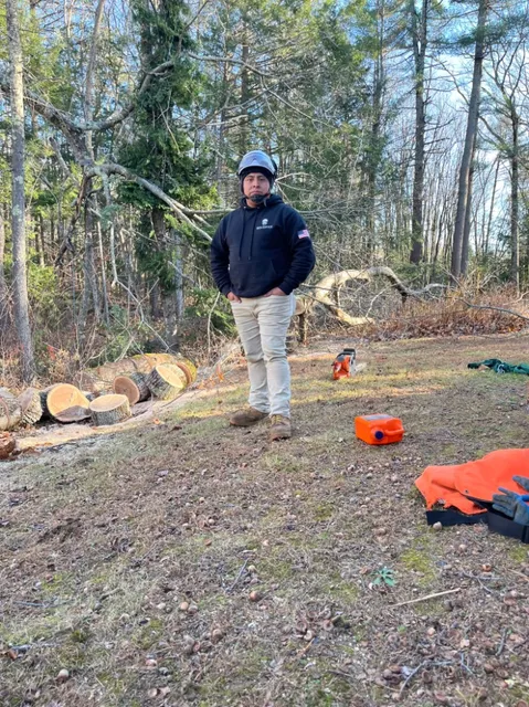 work photo from dmctreeservices.com