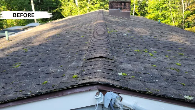 Roof Cleaning - Before