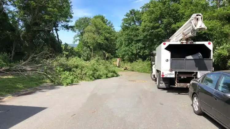 work photo from jdhtreeandlandscaping.com