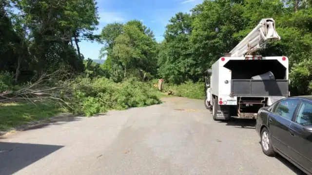 work photo from jdhtreeandlandscaping.com