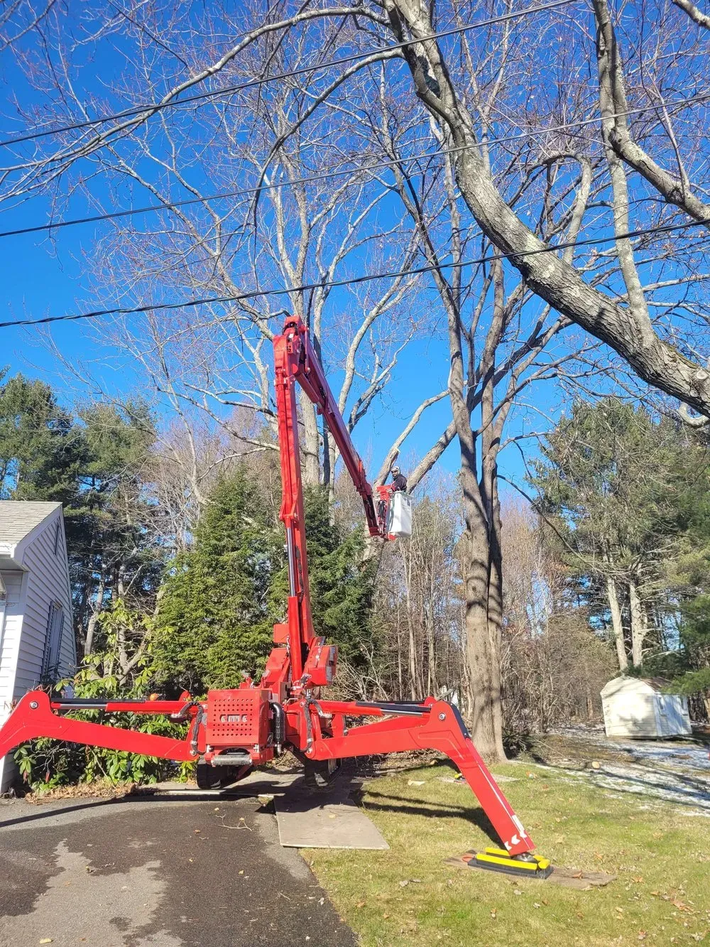 work photo from treetechinc.net