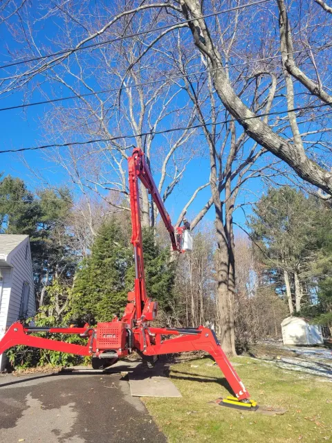 work photo from treetechinc.net
