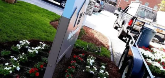 aaa pro planting plants
