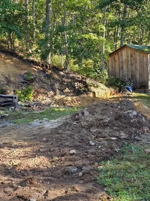 Dirt path and piles of soil in a wooded yard beside a small wooden shed in sunlight