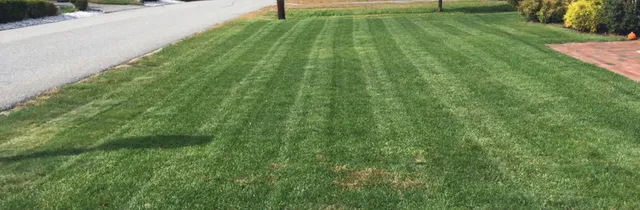 Patriot Pest Management work photo