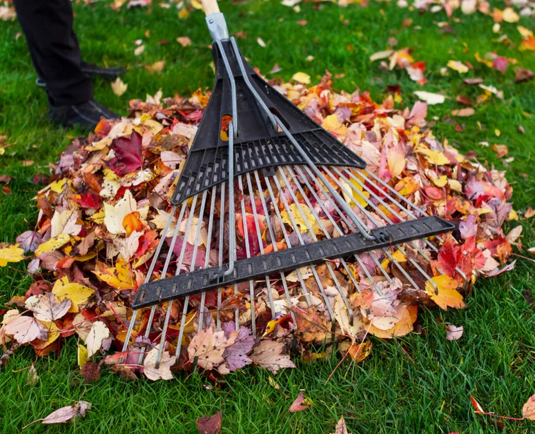 fall clean up on Cape Cod