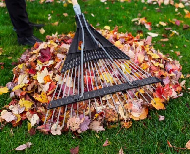 fall clean up on Cape Cod