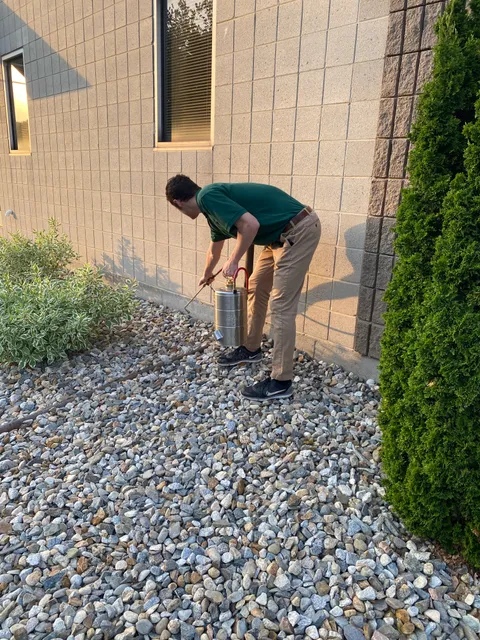 Security Pest Elimination work photo