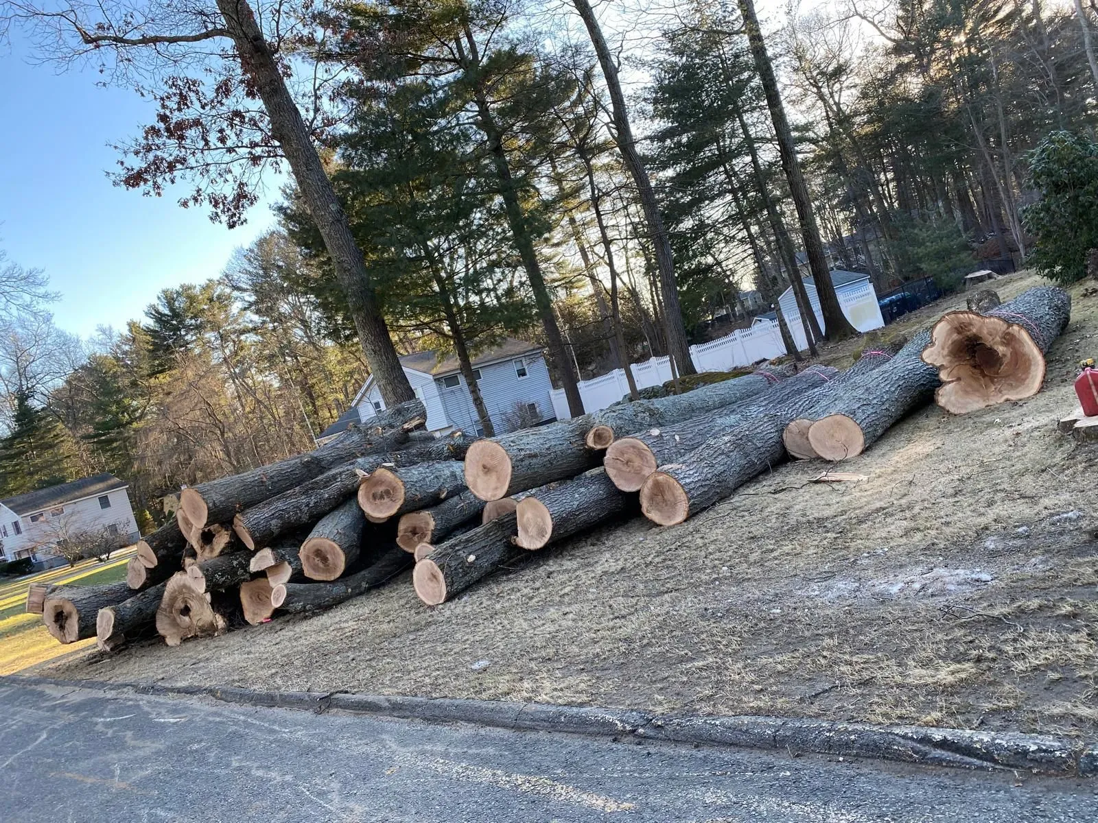 Sebastian Landscaping & Tree Services LLC