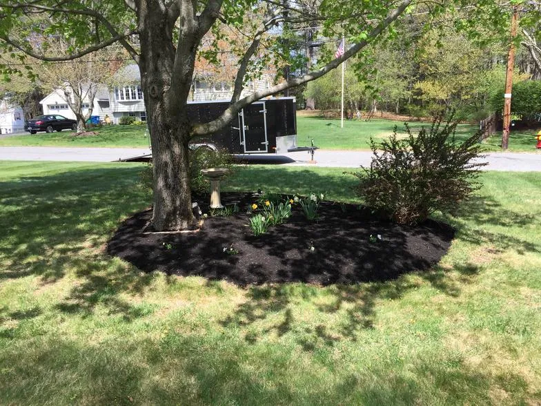 work photo from mebasslandscaping.com