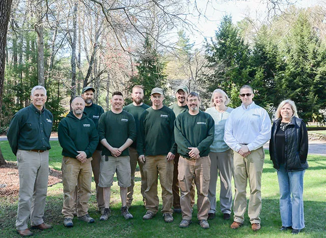 work photo from basnettdbr.com