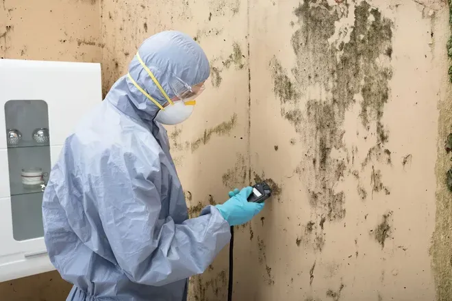 Worker in blue protective suit spray-cleaning a moldy wall indoors