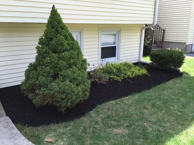 work photo from mebasslandscaping.com