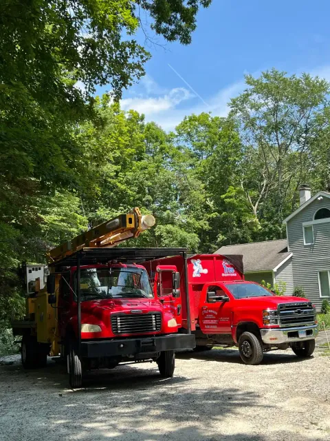 work photo from emltreeservices.com