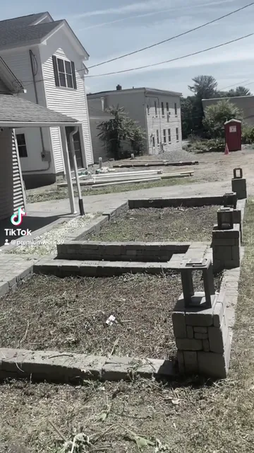 Premium Cut Landscaping work photo