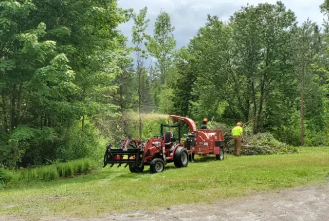 work photo from btbtreeservice.com