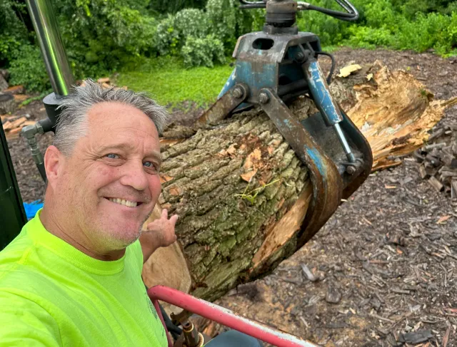 work photo from professionaltree.net