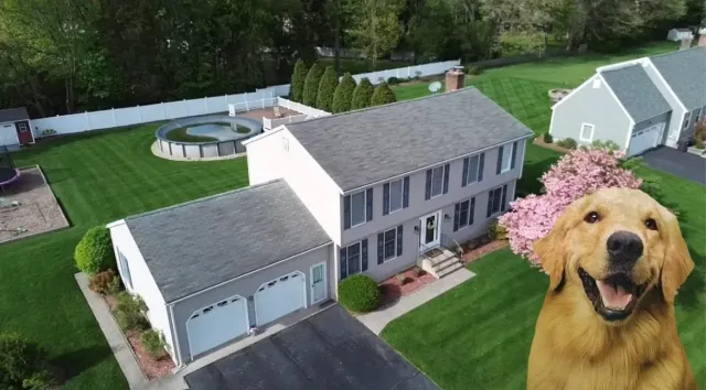 Roof Replacement