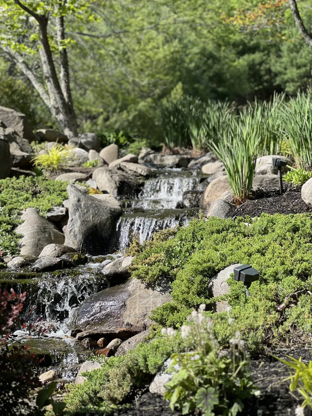 Tranquil garden scene featuring a cascading waterfall over rocks, surrounded by lush green plants and tall grasses under a clear sky.