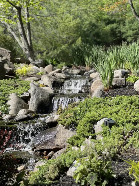 Tranquil garden scene featuring a cascading waterfall over rocks, surrounded by lush green plants and tall grasses under a clear sky.