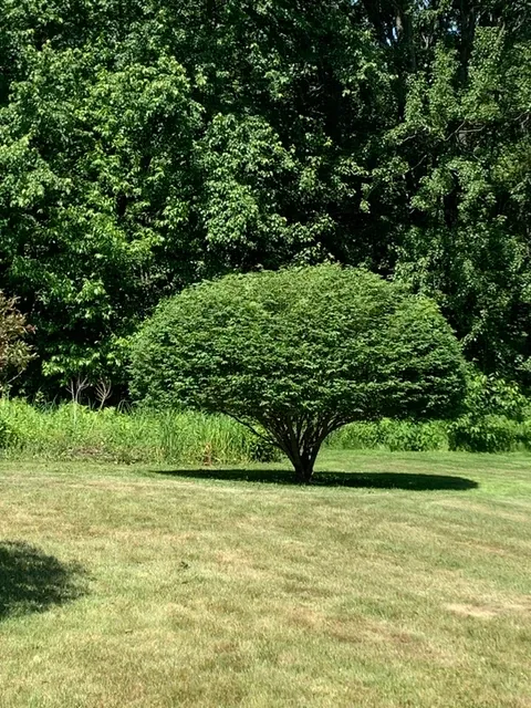 work photo from eganlawncare.com