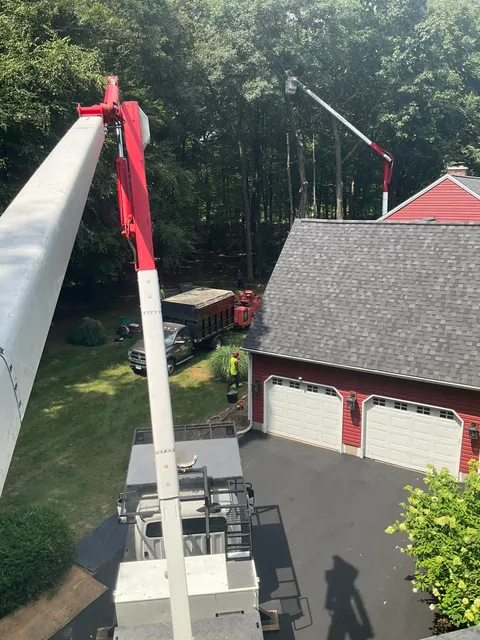 work photo from arbortechct.com