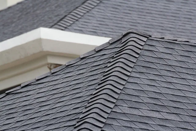 Roof Inspection