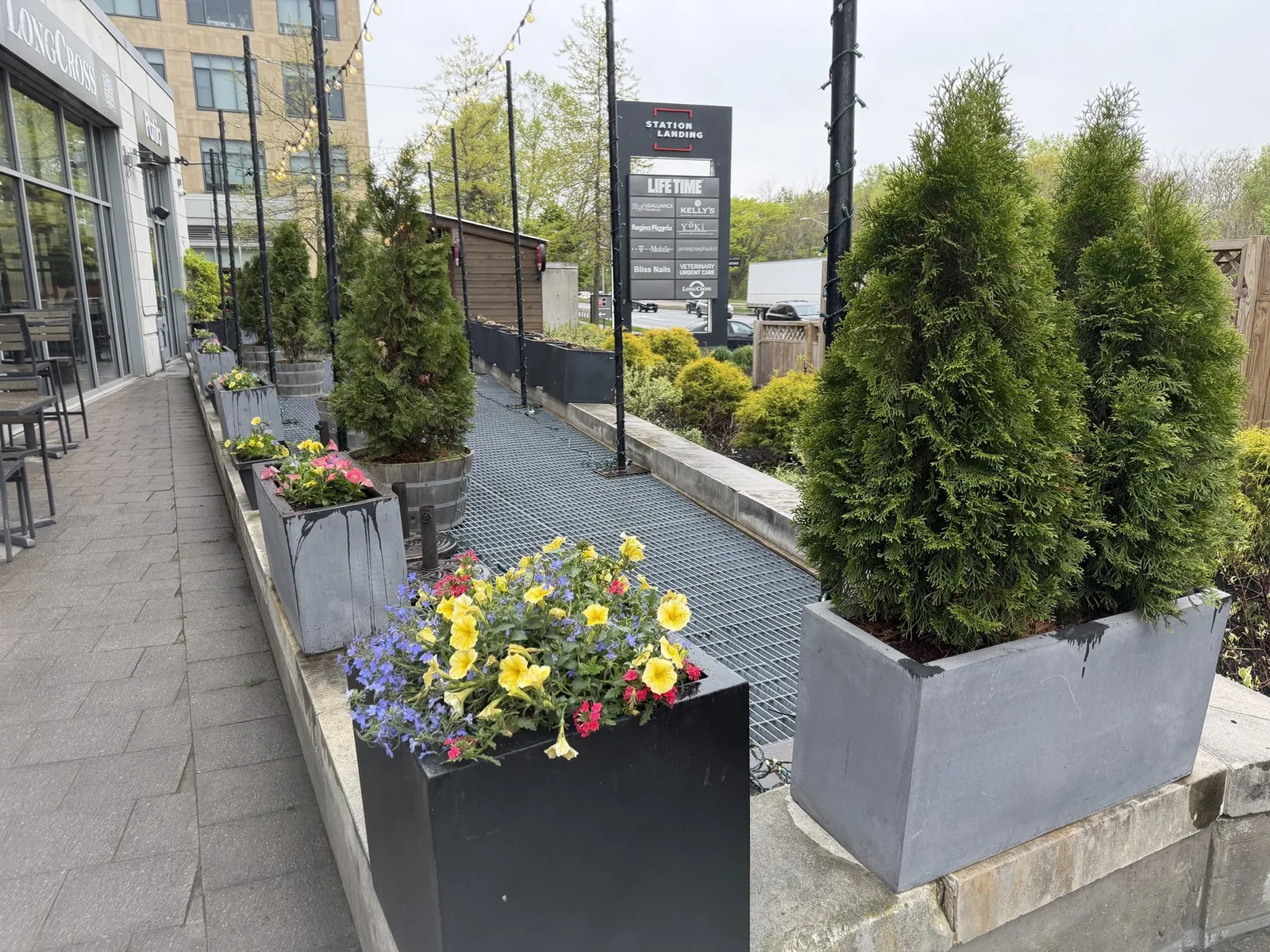 Commercial storefront with seasonal planters and clipped evergreens on a Sasso site