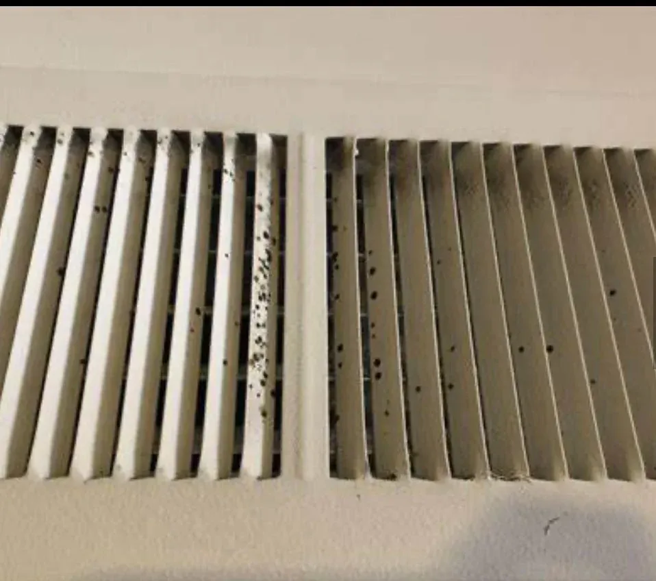 A dirty air vent cover with black debris and dust inside the slots.