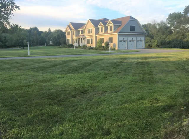 Trimming & Pruning after