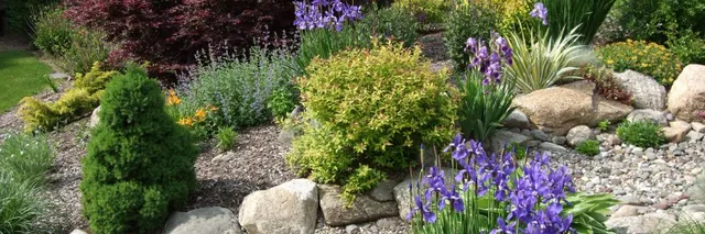 dry riverbed japanese maple and flowers