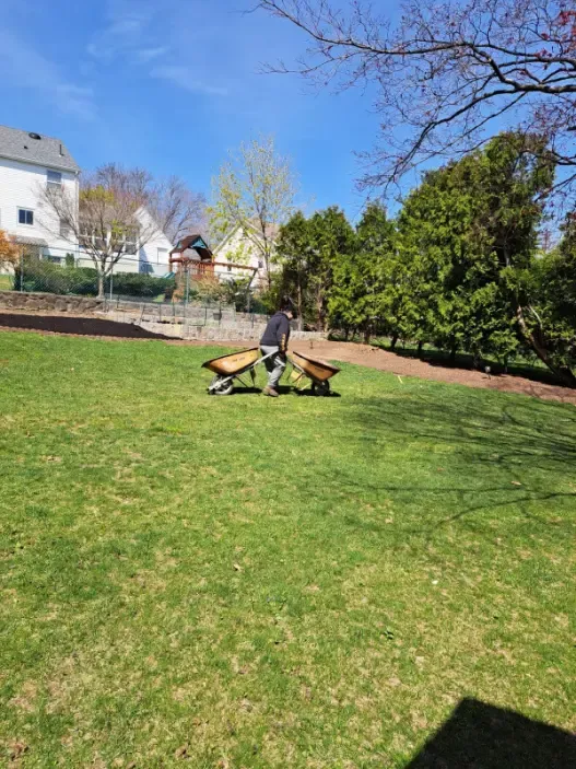 Yard Maintenance
