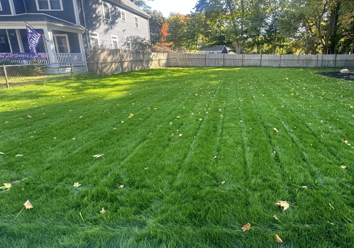 Lawn Maintenance