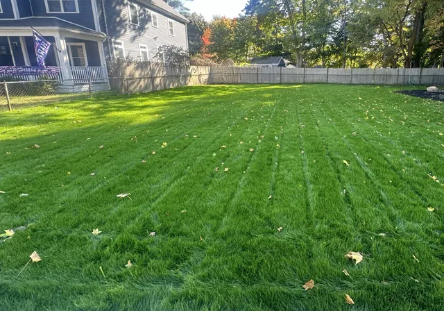 Lawn Maintenance