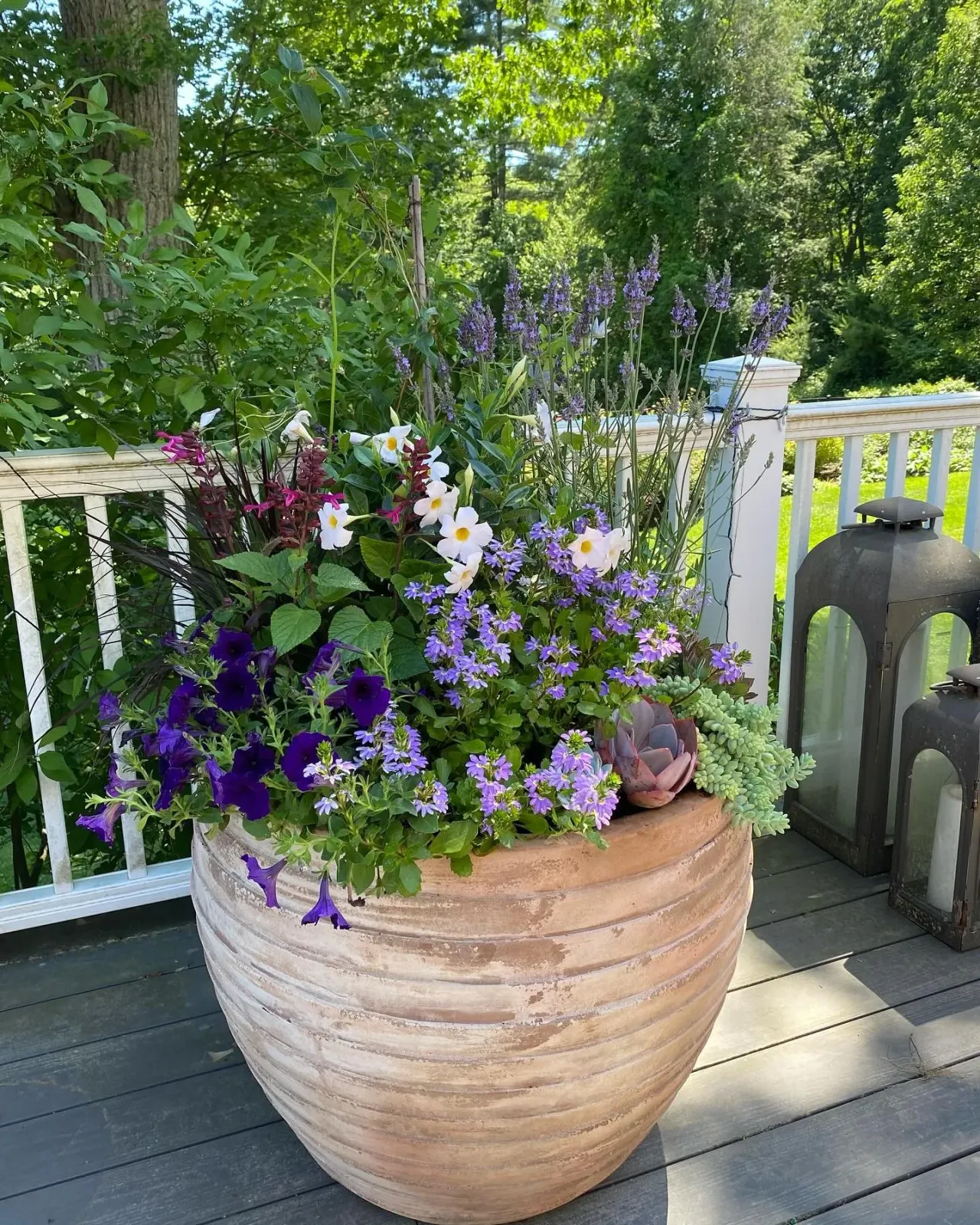 Summer&rsquo;s here!