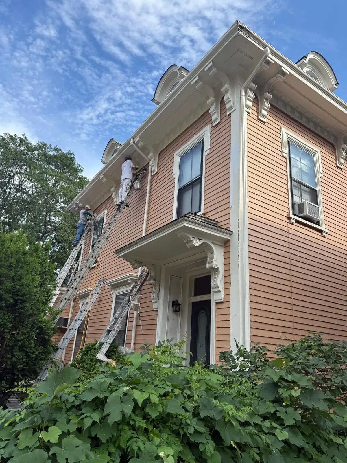 Brick townhouse with white trim, fire escapes, and overgrown greenery under a blue sky.