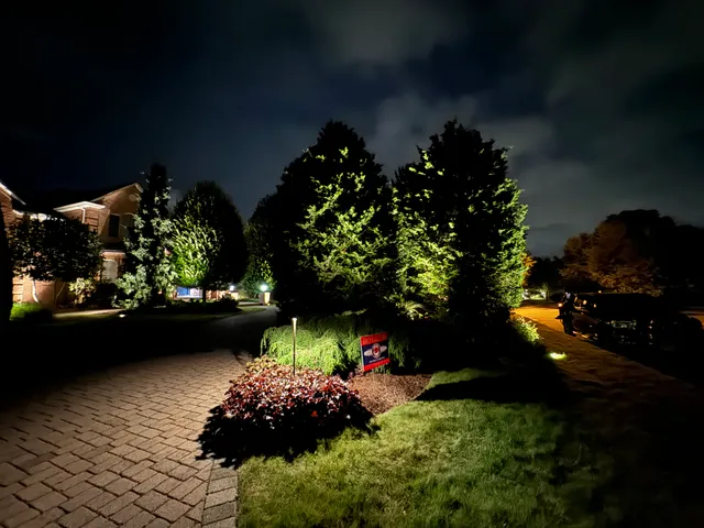 Rose Lights work photo