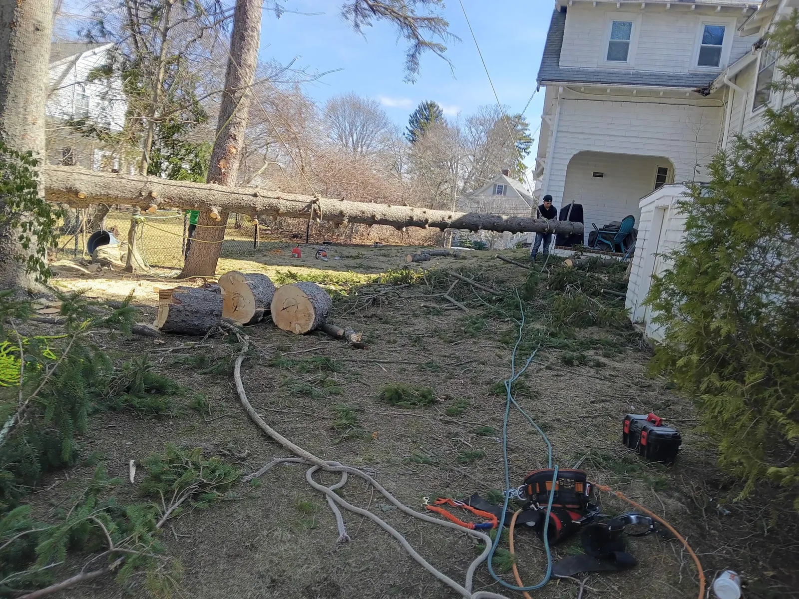 work photo from Google listing