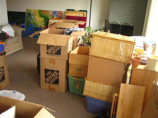 Boxes piled in a room, ready for moving. Furniture, artwork, and a plant are also present.