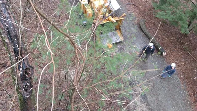 Perez Brother Tree & Paving Services work photo