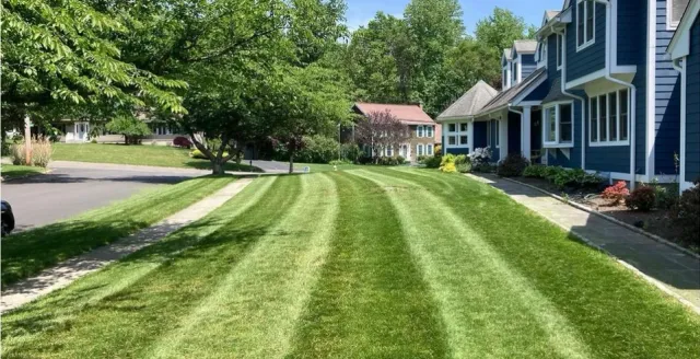 work photo from pristinelandscapesolutions.com