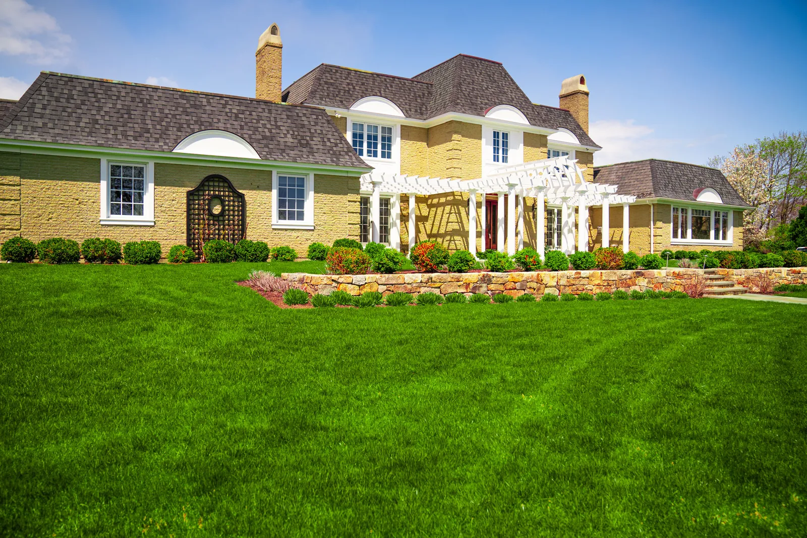 nice grass lawn house