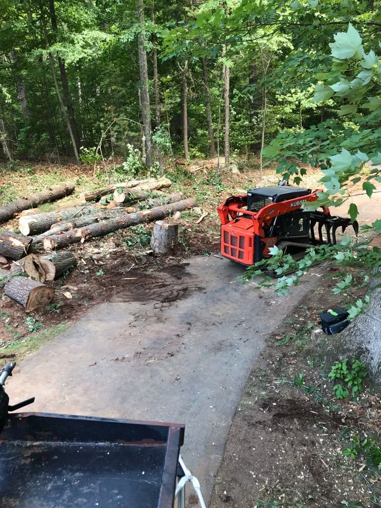 work photo from palmertreeservice.com