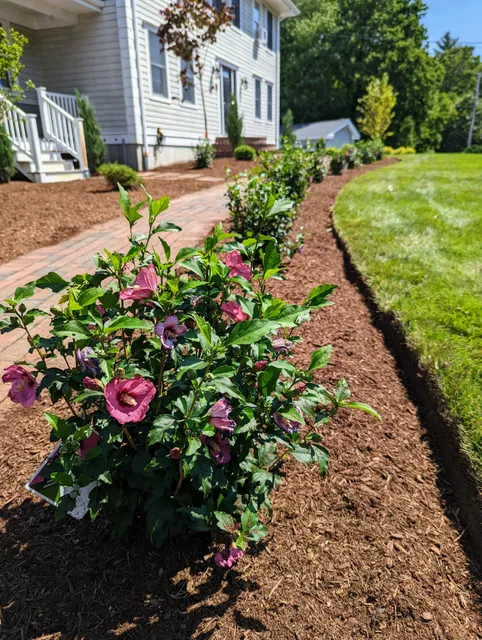 Higgins Landscaping work photo