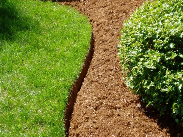 Ramos Landscaping work photo
