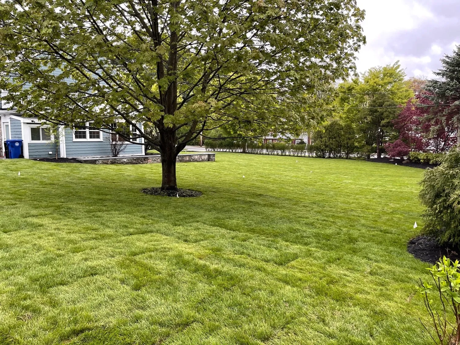 MJ Nicholls Landscaping LLC researched project photo
