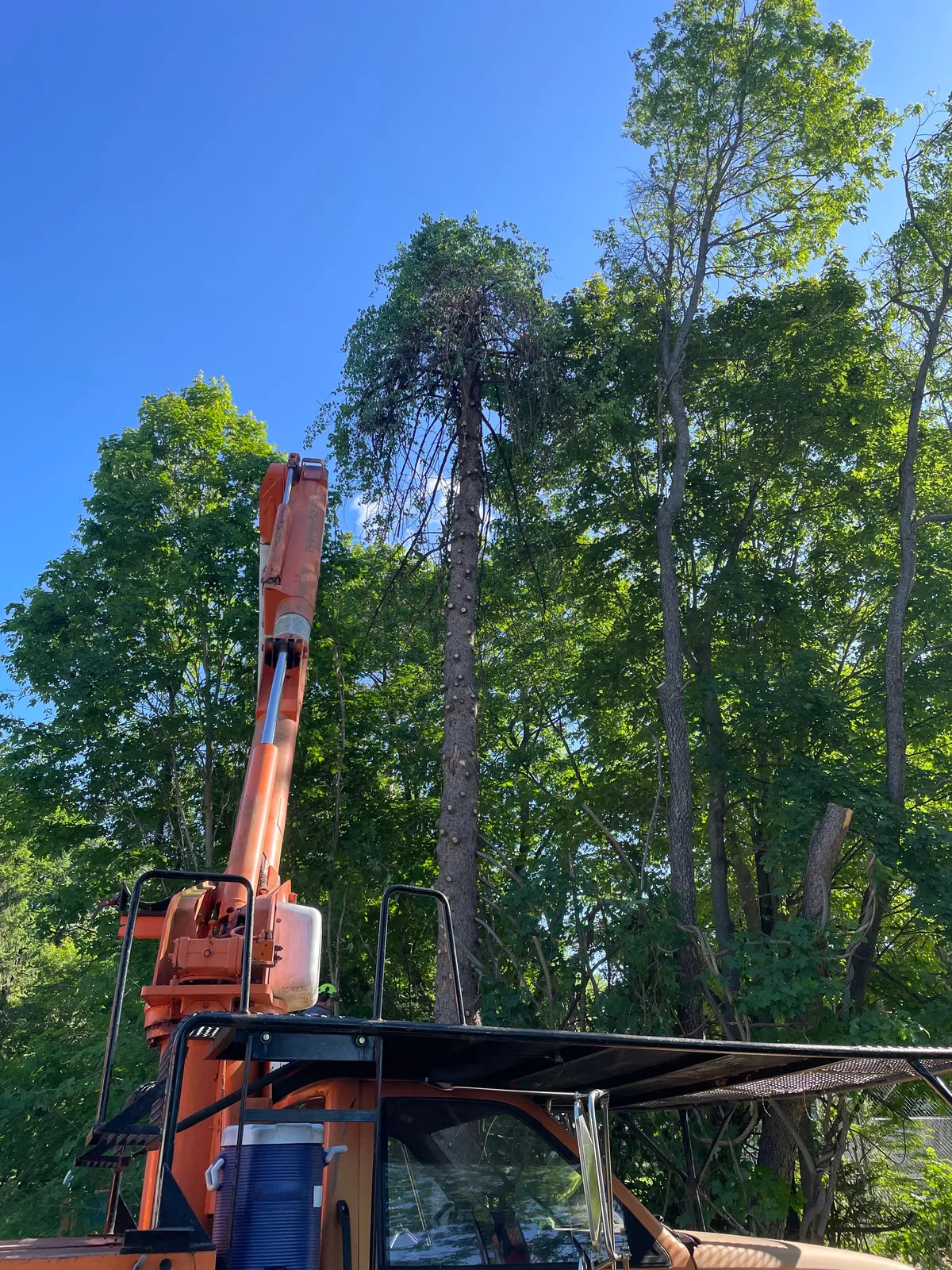work photo from Google listing