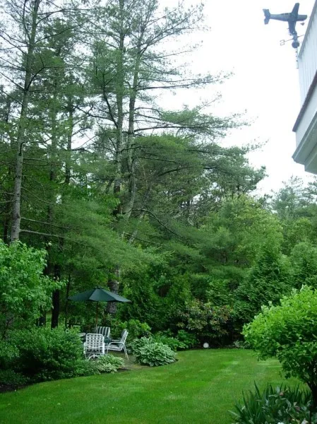 work photo from jbtreeandlandscape.com