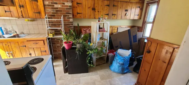 Small kitchen with wood paneling, stove, potted plants, and bags of stored items near the window.